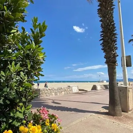 Villa Moderne Climatisee Avec Wi-Fi, Proche Plage Pour 6 Pers. - Fr-1-696-49 Canet-en-Roussillon